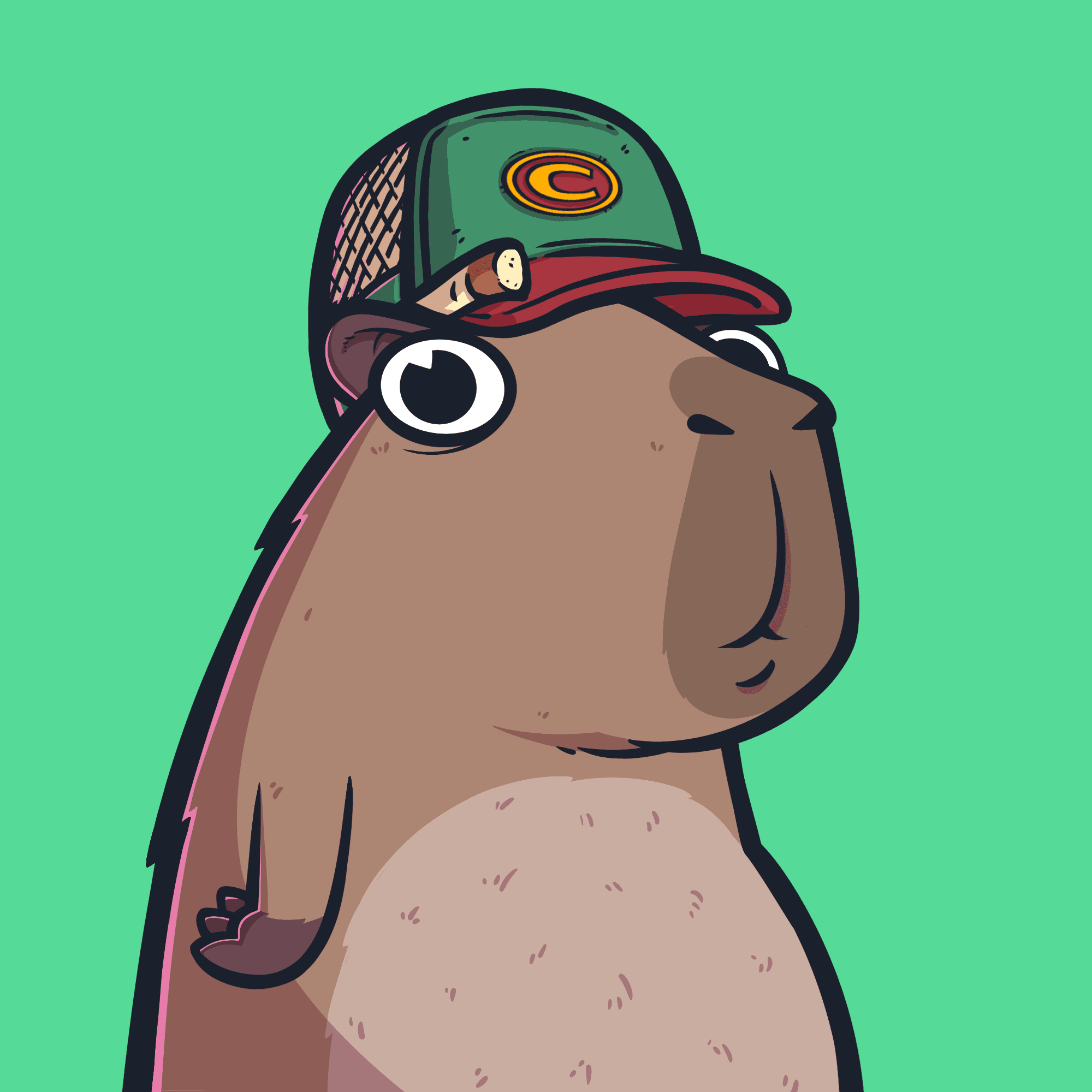 Cappy #5283